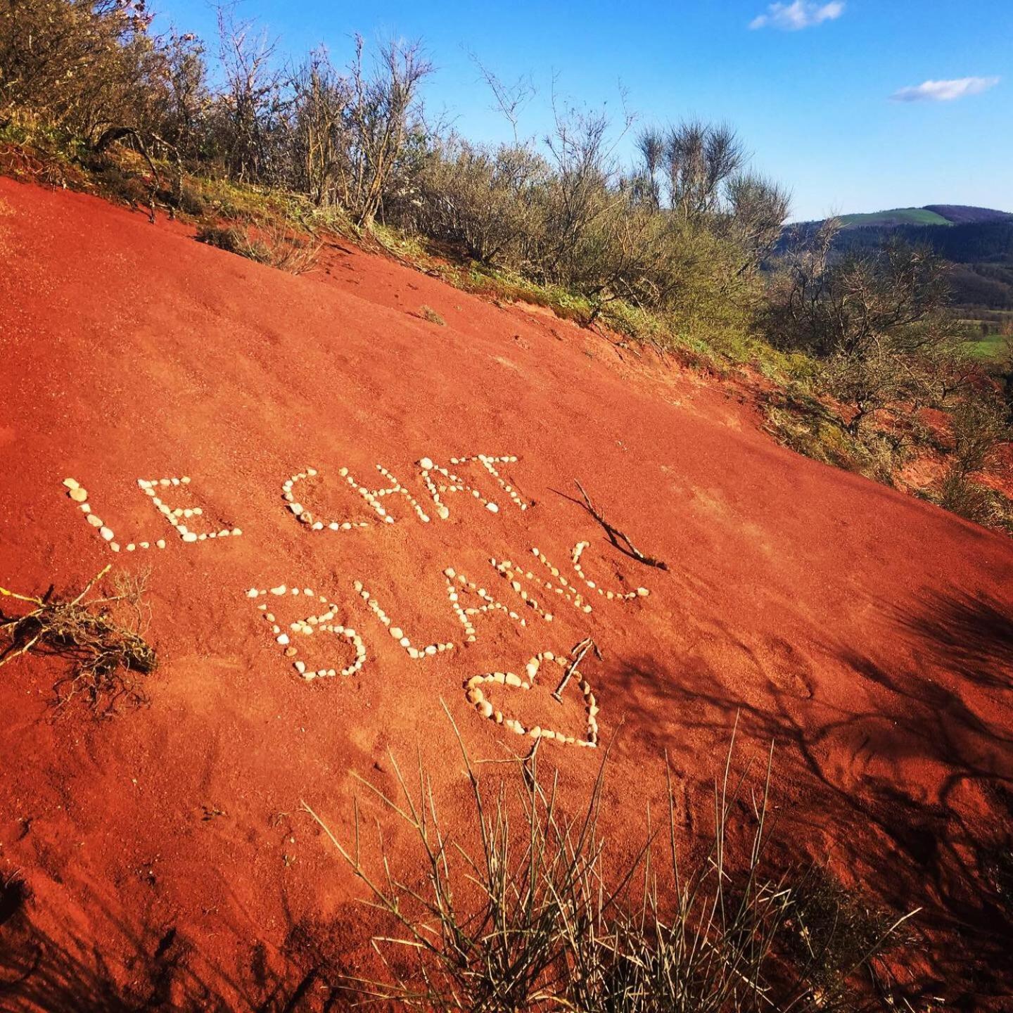 Le Chat Blanc Versols-et-Lapeyre Buitenkant foto
